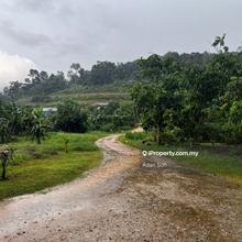 Rawang Agriculture Land For Sale 