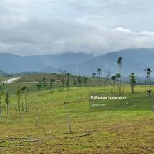 Freehold land with panoramic view of lush green, farm retirement home