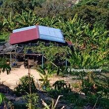 Agriculture land for Sale