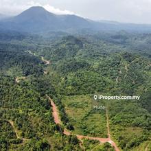 2,000 ac raw land for palm in Kuala Rompin Pahang