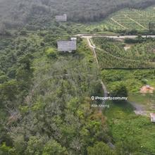 Lenggong Perak 4 acres Rubber Tree Freehold Agriculture Land For Sale