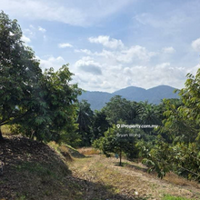 Semenyih Sungai lalang Durian land for Sale