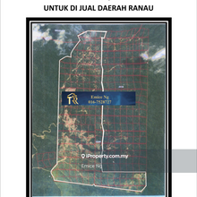 Palm oil estate for sale