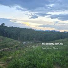 Tanah Pertanian untuk Dijual  Kuala Kangsar Perak