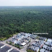 Land, Pontian perdana Agriculture land