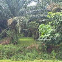 Banting 8 acres Industrial Zoning Land for sale, tanjung dua belas.