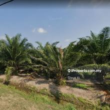 Industrial land for Rent