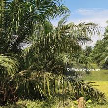 Land For Sales