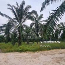 4 Acres Kuala Selangor Tanjung Karang Sungai Yu Agriculture Land