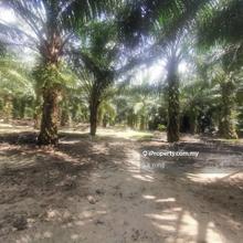 Prime Residential Land for Sale in Simpang Ampat,Bukit Mertajam