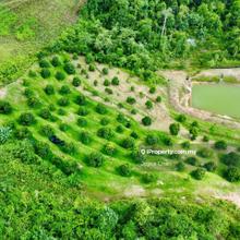 Mambau Rantau Seremban For Sale 12.44 Acres Agricultural Land