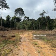 For Rent: Agricultural Land Cameron Highlands