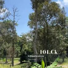 Lanchang Pahang Durian Farm Land For Sale