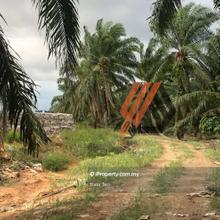 Ijok Agriculture Land For Rent 5 Acre, Suitable Tonnes Of Goods