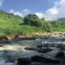 Land with Stream, Greenery Environment