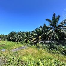Gelang Patah Agriculture Land For Sale