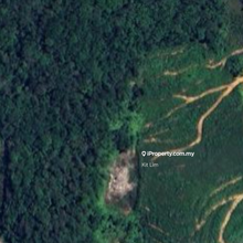 15 acres Industrial Land 