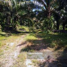 For Sale - Agriculture Land @ Simpang Renggam, Kluang