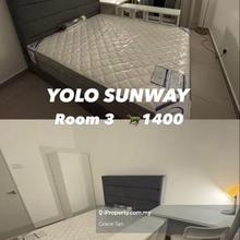 Female Room For Rent