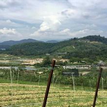 Serendah, Rawang, Selangor