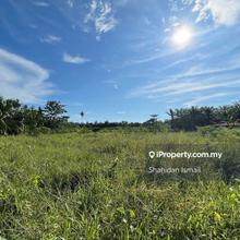 Prime Pasir Panjang Agri Land 4 Sale: Rare Investment, Huge Potential