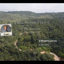 Semenyih Agriculture Land Freehold 40acres Residential Zoning For Sale