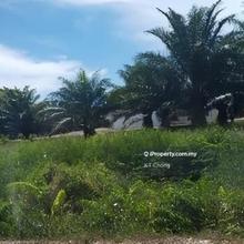Bidor Development Land for Sale!