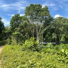 Agriculture land for Sale
