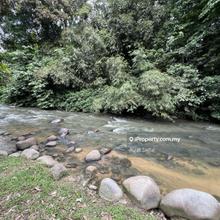 Tanah 4 Ekar Tepi Sungai Untuk Dijual Di Lubok Manggis Hulu Langat