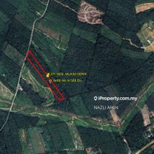 Agriculture Land 4.56 Acre Freehold Kampung Air Betang, Perak