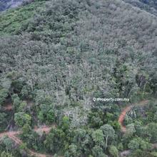 Kuala Kangsar 9 acres Freehold Rubber Tree for sales