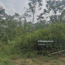 Pengerang, Kampung Sungai Rengit, Agricultural Land for Sale