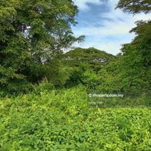 First Grade Residential Land @ Penaga for Sale