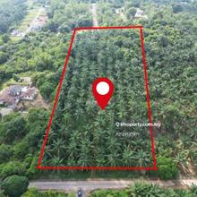 Potential Land 3.01 Acre Bukit Damar Dengkil