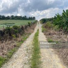 Kulai 4.12acres Agricultural Land for Sale 