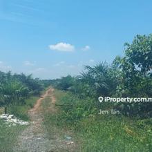10ac Oil Palm land for Sale
