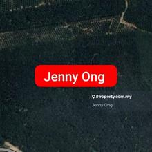 Zoning Industry Land,Kedah For Sale 