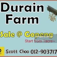 Durian Land for Sale - Gopeng Lawan Kuda