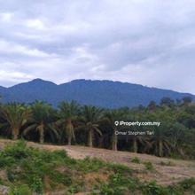 Agriculture land for Sale
