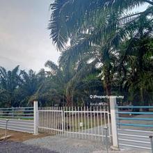 Agriculture land for Sale