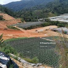 Lojing Highland Agriculture Land for Sale
