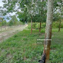 Kesang pajak, agriculture rubber trees land 4.369 acres for sale