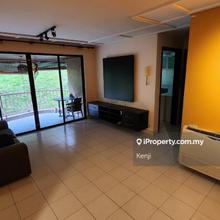 Fully furnihsed condo for rent
