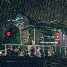Orchard agri land.