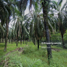 Kuala Selangor @ Bestari Jaya Industrial Land