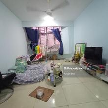 Putra Majestik for Sale