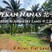 Pekan Nanas Industry Land For Sale 