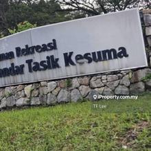 Bandar Tasik Kesuma near Setia Eco Hill 