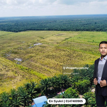 Tanah Pertanian 105 Ekar di Pekan, Pahang untuk disewa