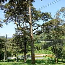 Land for Eco Retreat / Glamping Tents